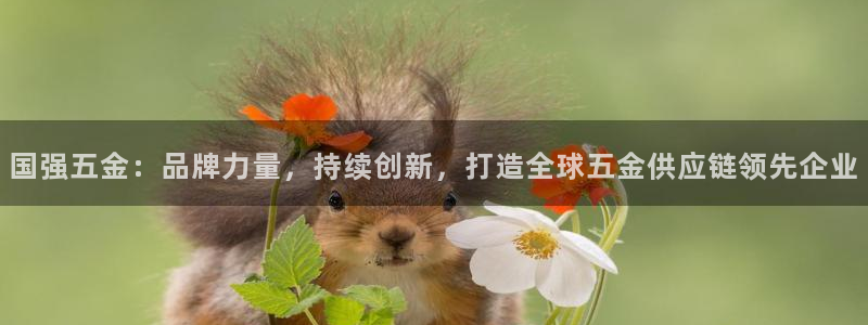 cq9电子平台官网
