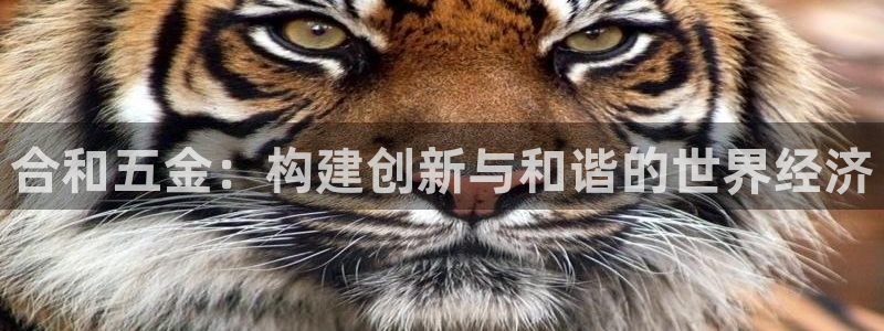 cq9传奇电子神龙