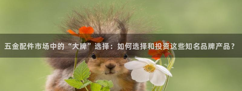 cq9电子游戏在线