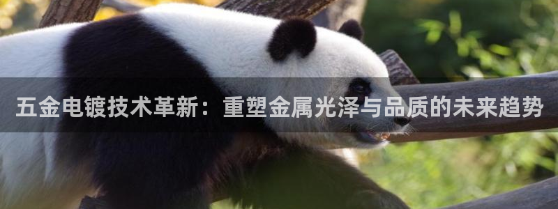 cq9电子手机下载