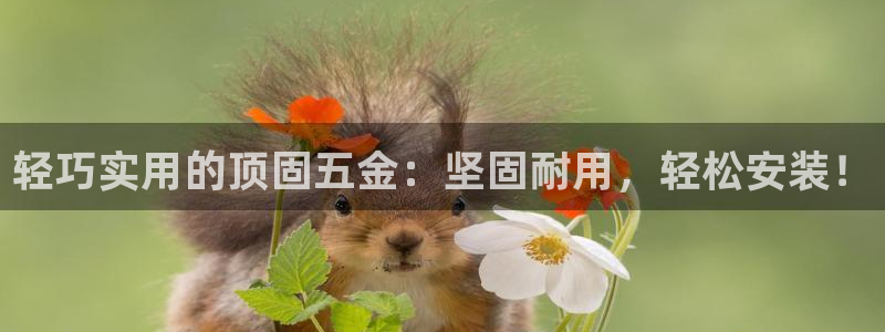 cq9电子娱乐平台在线