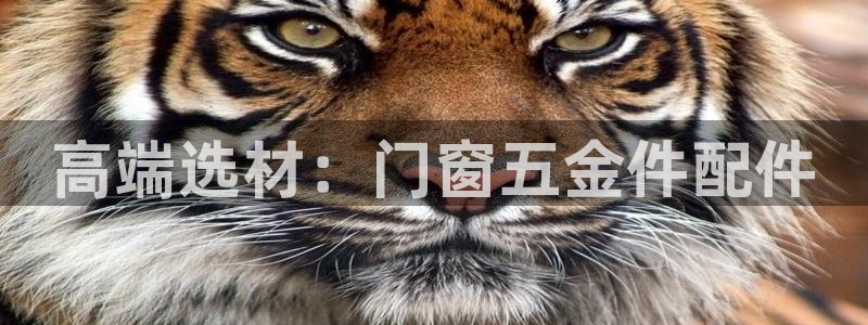 CQ9电子官方网站