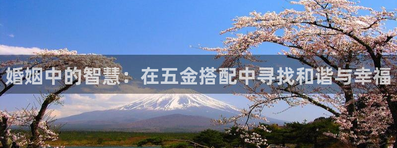 cq9电子软件下载