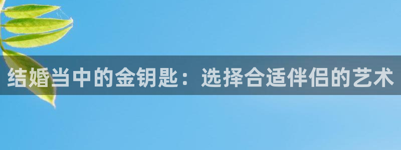 CQ9电子游戏该怎么玩