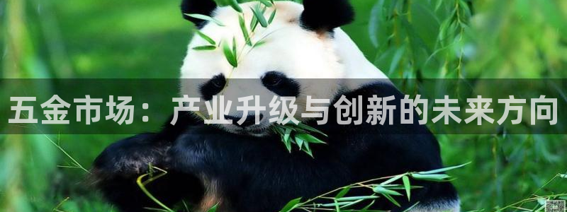 cq9传奇电子免费网站