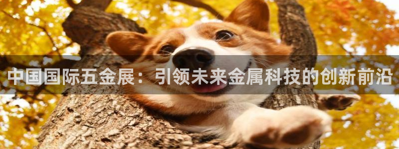 cq9电子维护美腿