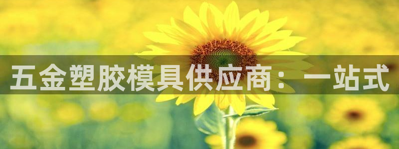 cq9电子游艺漏洞