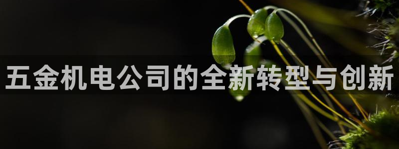 cq9电子游戏一直输