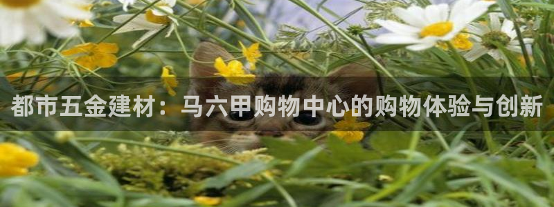 传奇cq9电子测评