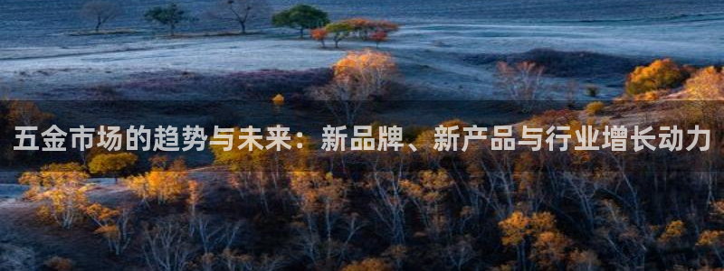 黑客攻击cq9电子