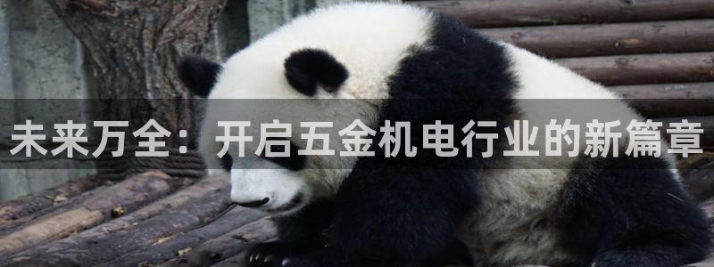 传奇cq9电子冠军