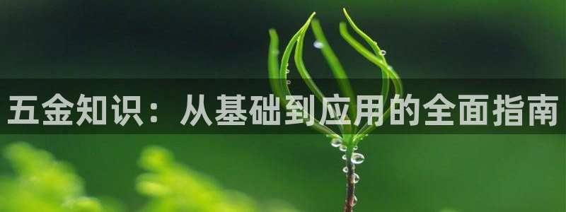 cq9电子资讯大爆料