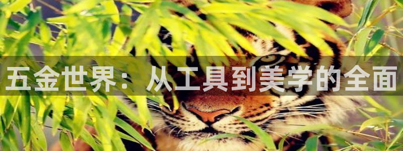 cq9电子爆分技巧