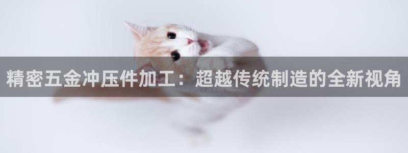 CQ9传奇电子如何获利