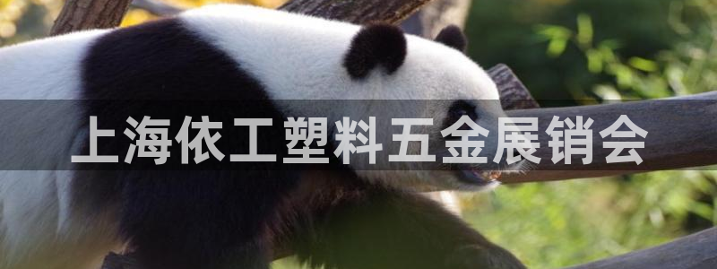 cq9电子现金官网