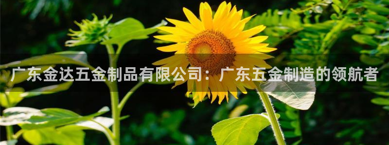 CQ9电子官网入c77