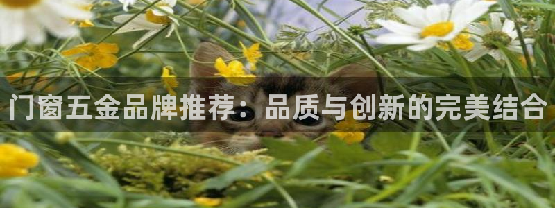 cq9电子哪吒再临