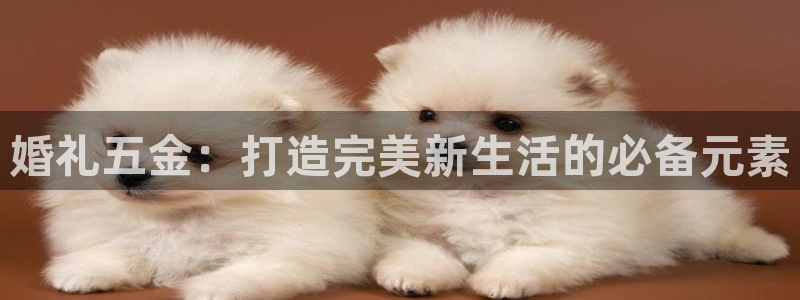 cq9火凤凰电子舞