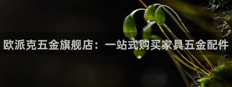 CQ9电子游戏玩着卡