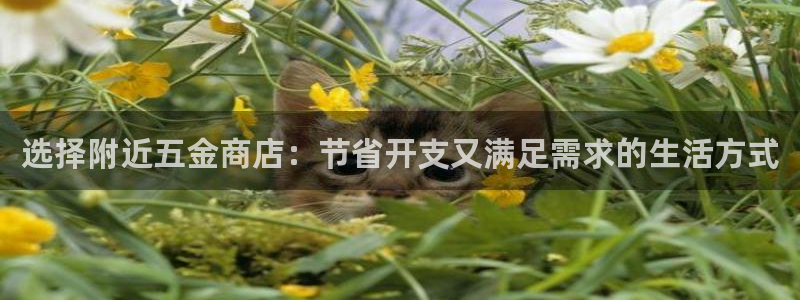 cq9电子怎么下架了