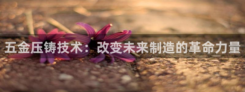 宝马cq9电子