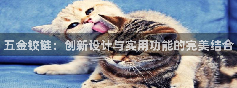 cq9传奇电子新黑马