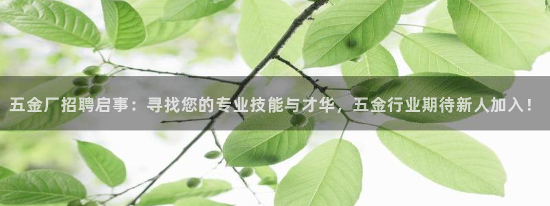 CQ9电子火之女王