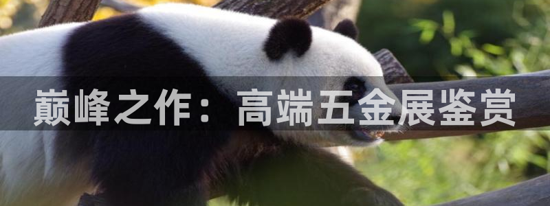 cq9电子诀窍