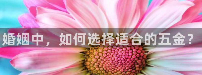 电子龙舞cq9