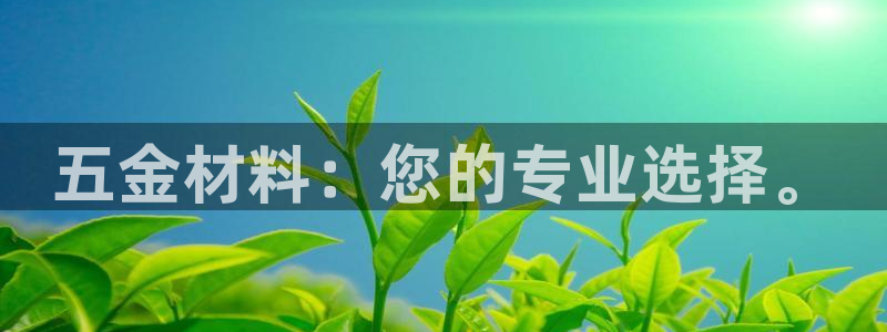 电子cq9是什么