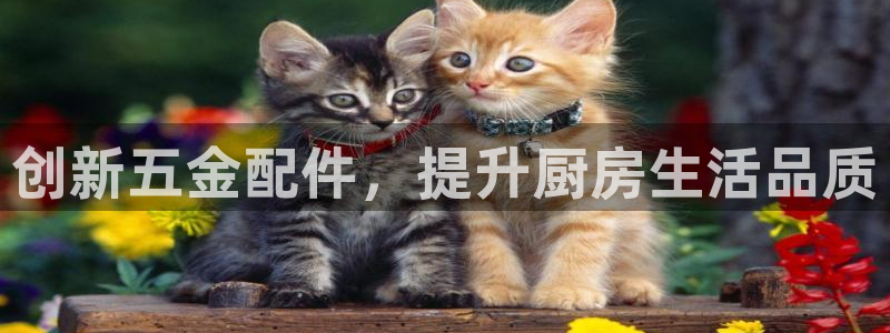 cq9电子怎样快速回本